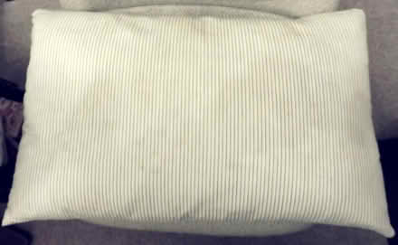 Photo of free Old pillow probably feather (Glasgow G43) #1