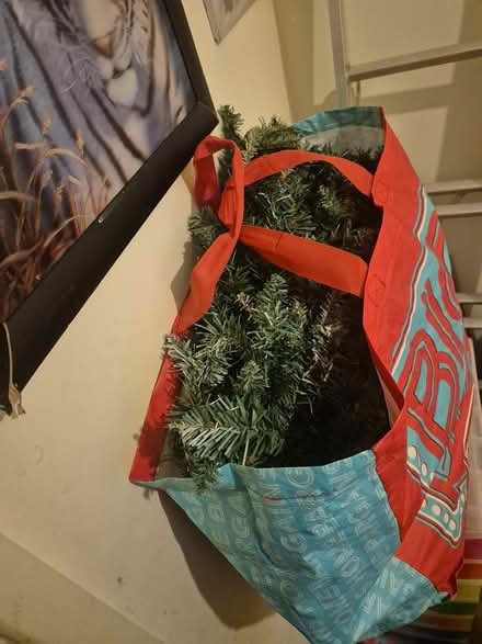 Photo of free 6ft christmas tree (paignton Borough road TQ4) #2