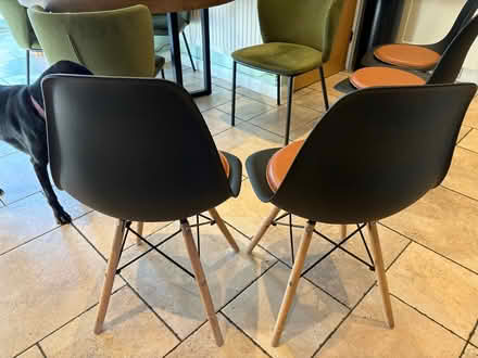 Photo of free Kitchen chairs (Stockton Heath WA4) #3