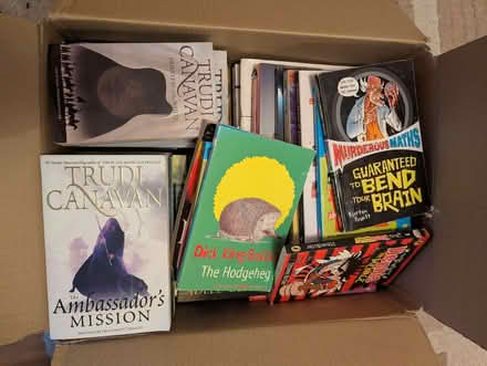 Photo of free Books! (variety from son's clear-out) (Berkhamsted HP4) #2