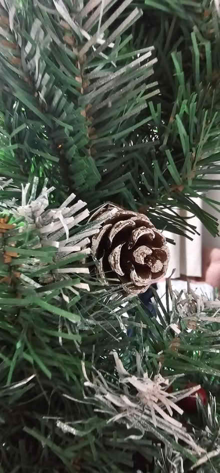 Photo of free Artificial christmas tree (Cranfield MK43) #3