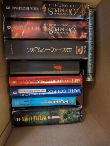 Photo of free Books! (variety from son's clear-out) (Berkhamsted HP4) #1