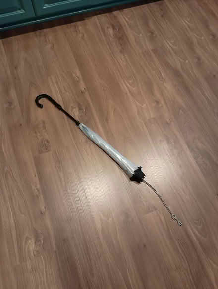 Photo of free Dog Umbrella with Leash (Livonia (5 and Inkster)) #1