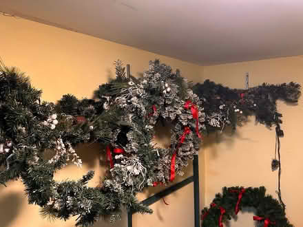 Photo of free Christmas Decorations (Cork city Centre) #3