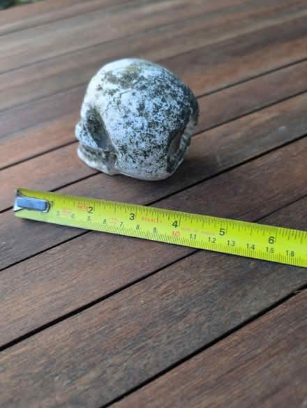 Photo of free Fish tank ornament (Bear Flat, Bath BA24) #2