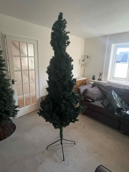 Photo of free 7 ft Christmas Tree (Sprowston (NR7)) #1