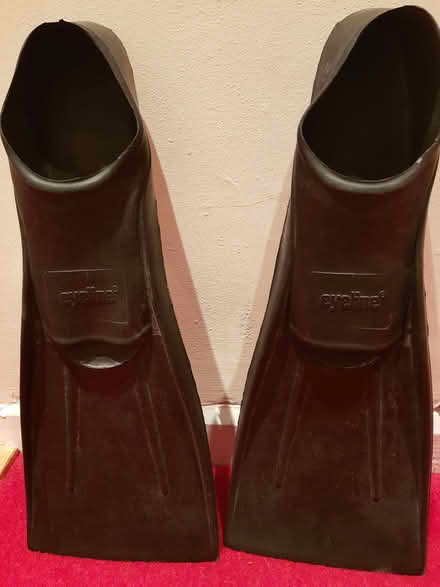 Photo of free Black Swimming Fins (Townsend AL3) #1