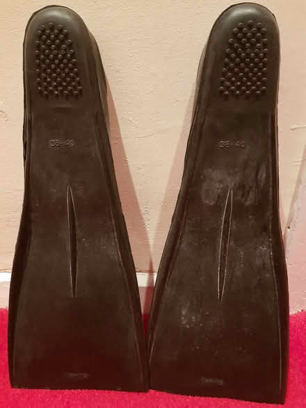 Photo of free Black Swimming Fins (Townsend AL3) #3