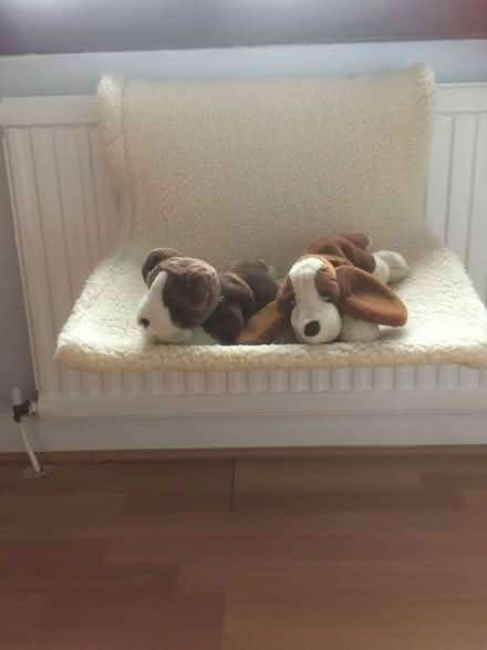Photo of free Radiator cat bed (Dunblane FK15) #1