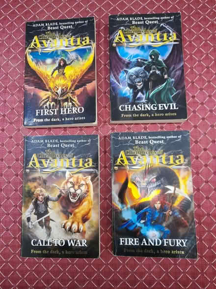 Photo of free Books by "Beast Quest" author - 8 to 12 years (Loughborough LE11) #2