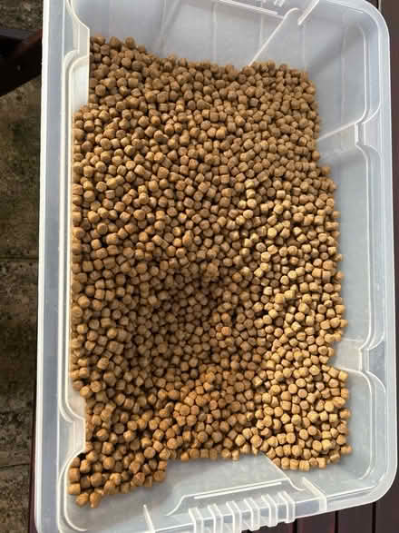 Photo of free Dog food (Sunnyside) #2