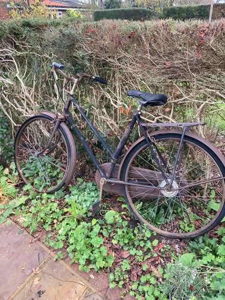Photo of free Old bike for garden ornament . (Woodley RG5) #2
