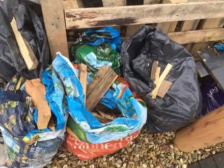 Photo of free Kindling and small firewood (EX4) #1