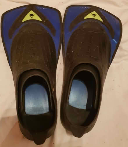 Photo of free Swimming fins (Townsend AL3) #1