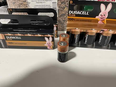 Photo of free Duracell Batteries (Higher Bebington CH63) #1