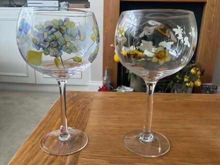 Photo of free Two decorated gin glasses from Ginology (Benhilton SM1) #1