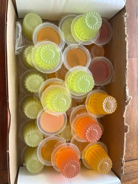 Photo of free Reptile jelly pots (NG5 Basford) #1
