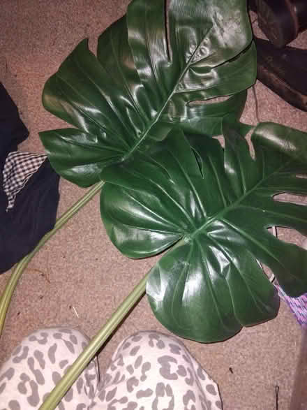 Photo of free Artificial leaves (Chaddesden DE21) #1