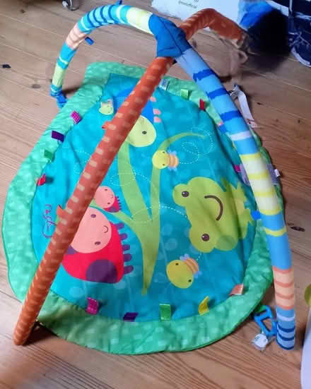 Photo of free Baby gym (Grange EH9) #1
