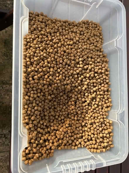Photo of free Dog food (Sunnyside) #1