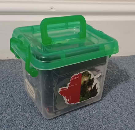 Photo of free Set of old-style coloured Christmas lights in plastic box (Primrose LA1) #2