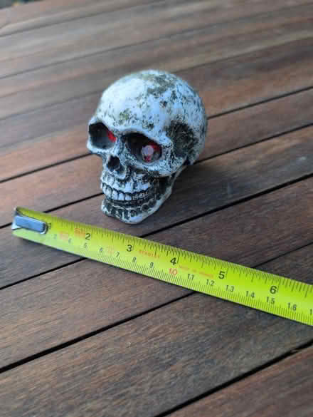 Photo of free Fish tank ornament (Bear Flat, Bath BA24) #1