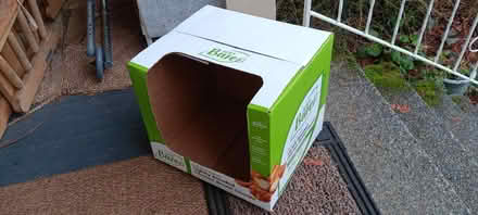 Photo of free Costco box for your cat (Maple Leaf) #1