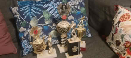 Photo of free Selection of Boxing trophies (Stroud Green N4) #1