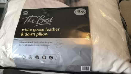 Photo of free Goose feather pillow (The Camp AL1) #1