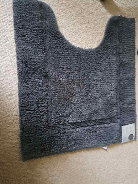 Photo of free Bathroom pedestal rug (Caversham RG4) #2
