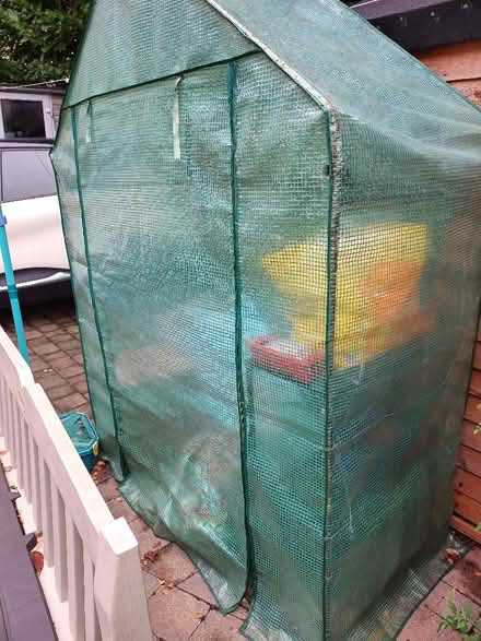 Photo of free Walk In Greenhouse (Bruntsfield EH10) #1