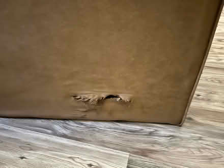 Photo of free Loveseat Sofa (Virginia Beach) #2