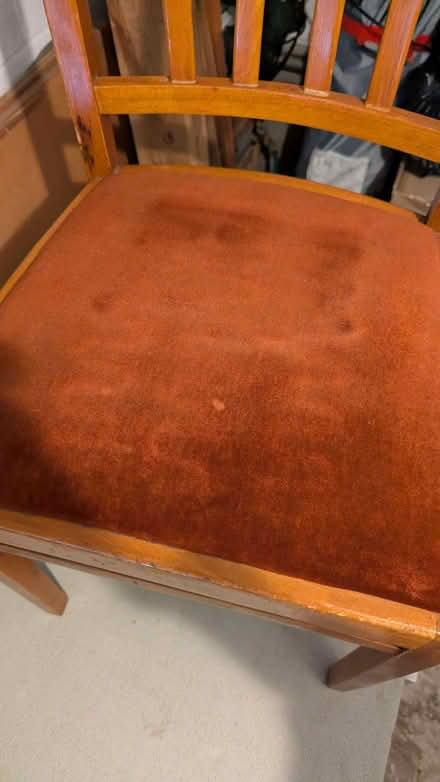 Photo of free Four Dining Room Chairs (Great Baddow CM2) #4