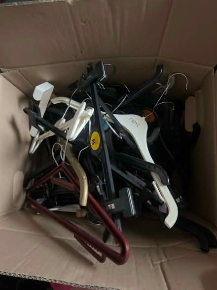 Photo of free plastic clothes hangers (St Margarets TW1) #1