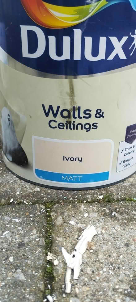 Photo of free Paint, Ivory Matt finish (Morpeth NE61) #3