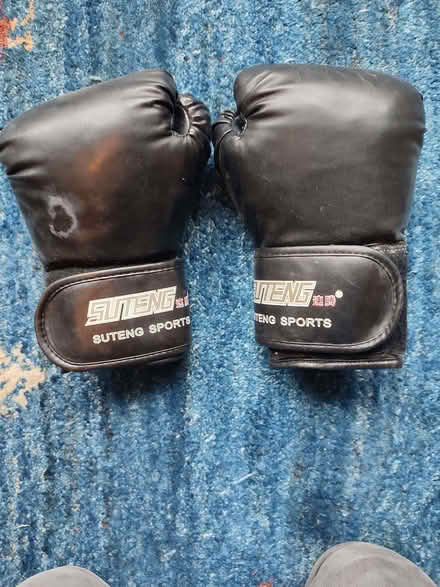 Photo of free Boxing gloves (How Wood AL2) #1