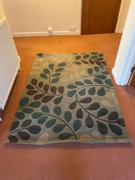 Photo of free Rugs x 3 (Packsaddle BA11) #2