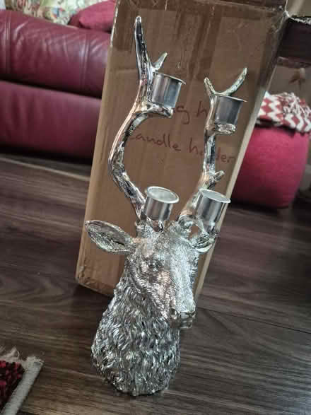 Photo of free Stag head candle holder (Welling DA16) #2