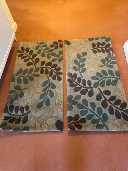 Photo of free Rugs x 3 (Packsaddle BA11) #1