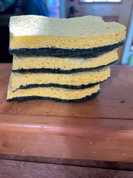 Photo of free 4 dish washing sponges (unused) (Bowie) #1