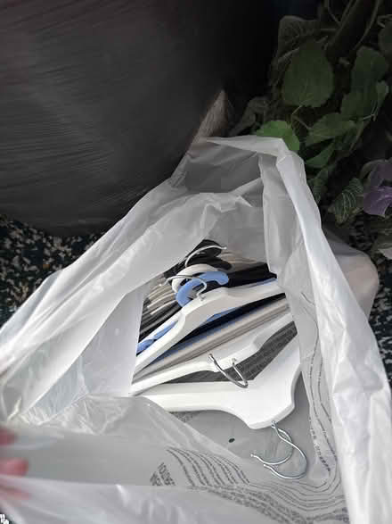 Photo of free Hangers (Ferry court CF11) #1