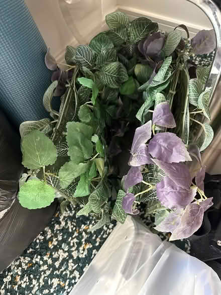 Photo of free IKEA decorating flowers for home (Ferry court CF11) #2