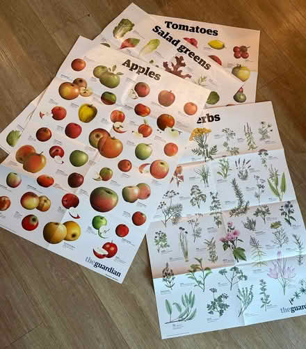 Photo of free Animal and plant posters (Sevenoaks, near Station) #2