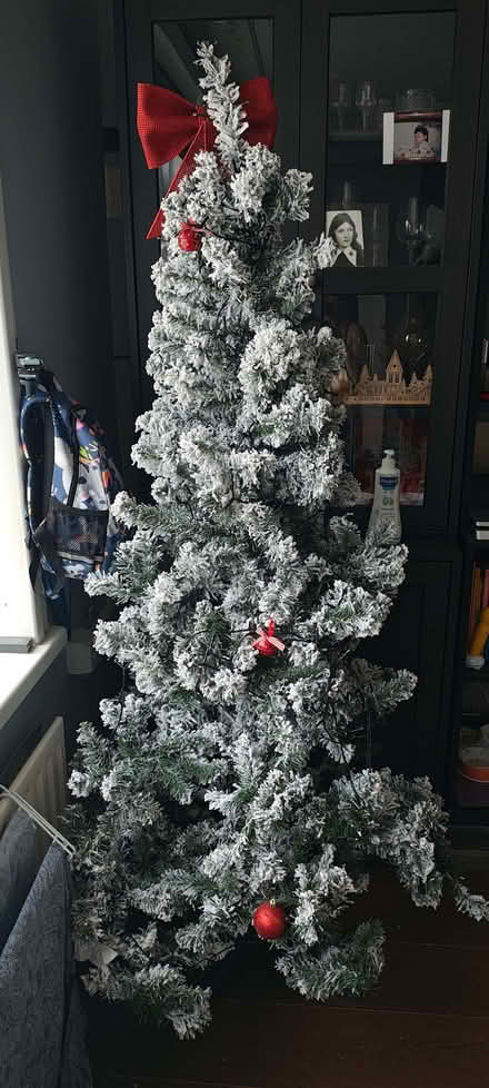 Photo of free Snowy Christmas tree+lights (Shiregreen S5) #1
