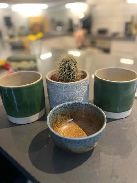 Photo of free Ceramic planters and bowl set (Se1 2bg) #1