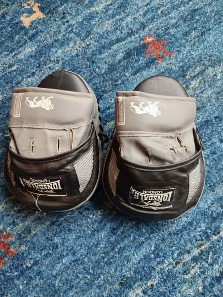 Photo of free Boxing pads (How Wood AL2) #1
