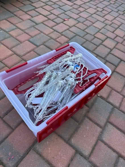 Photo of free Christmas decorations (Cherry Chase Sunnyvale) #1