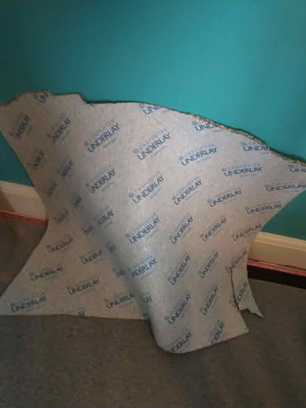 Photo of free Underlay (Lakenham NR1) #2