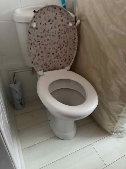 Photo of free Toilet seat (Albert Village) #1