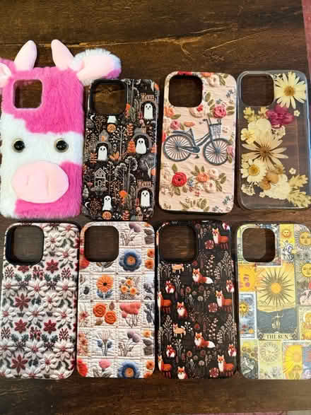Photo of free iPhone 13 Pro Max phone cases (Alexandria) #1